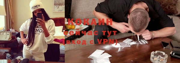 стафф Алексин