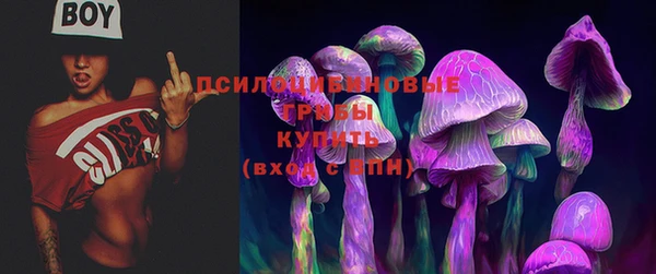 прущие крисы Алзамай