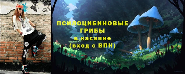 стафф Алексин