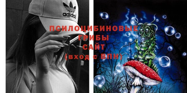 Альфа ПВП Алексеевка