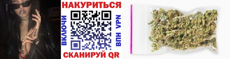 Шишки марихуана планчик  купить   Карачаевск 